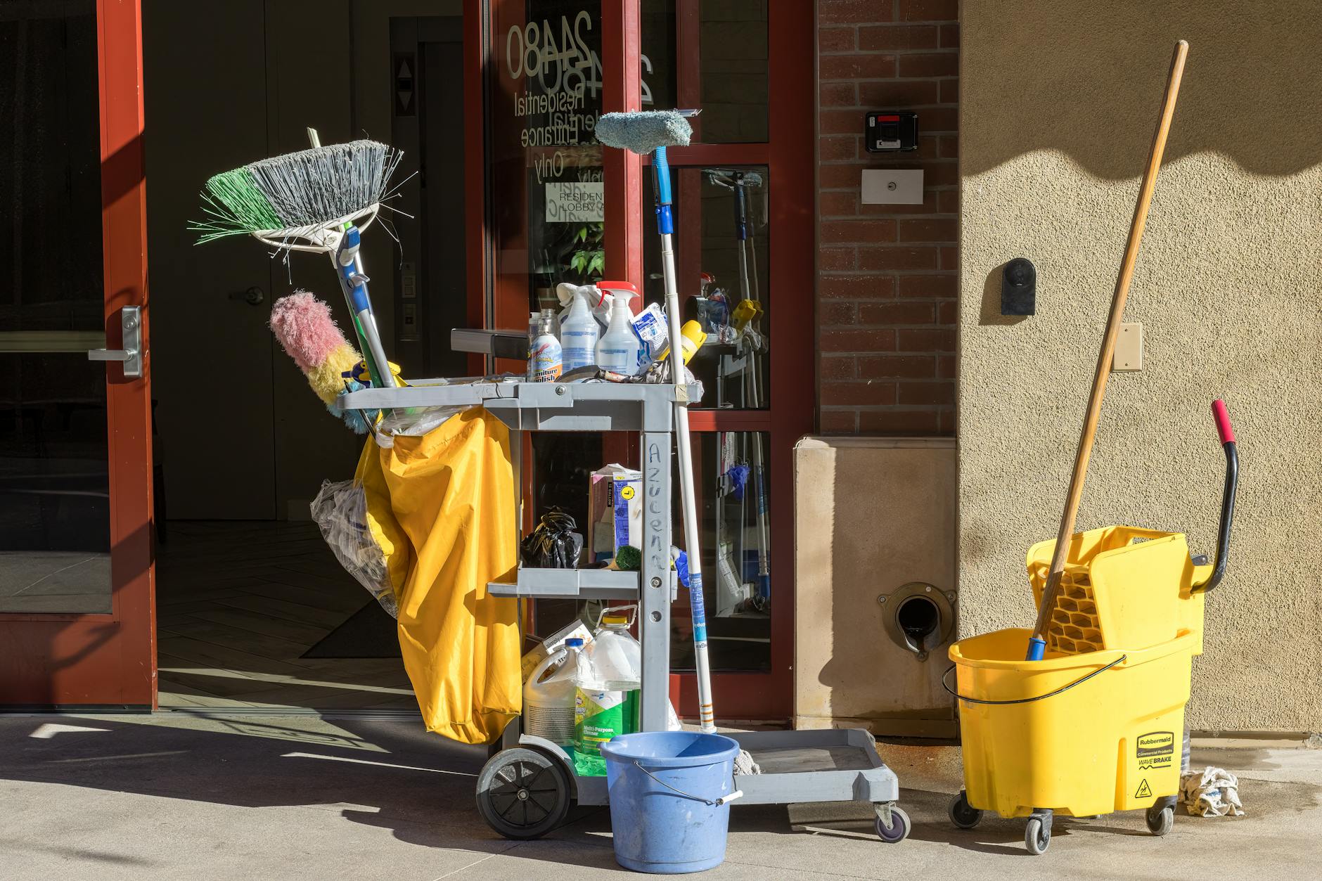 Mop sink and mop bucket in a commercial restaurant kitchen — drain fly breeding source when soiled mop heads sit in standing water with food residue